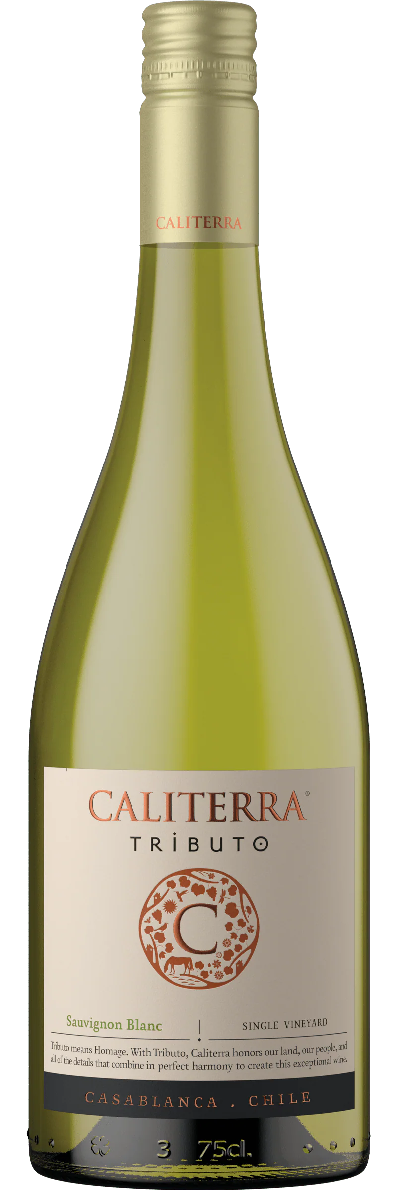 Caliterra Tributo Single Vineyard Sauvignon Blanc Gran Reserva 2023 75cl
